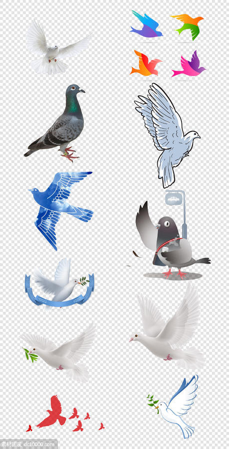 动物  鸽子   水彩    白鸽   鸟类   鸽子元素  信鸽  PNG免扣设计素材 - 源文件