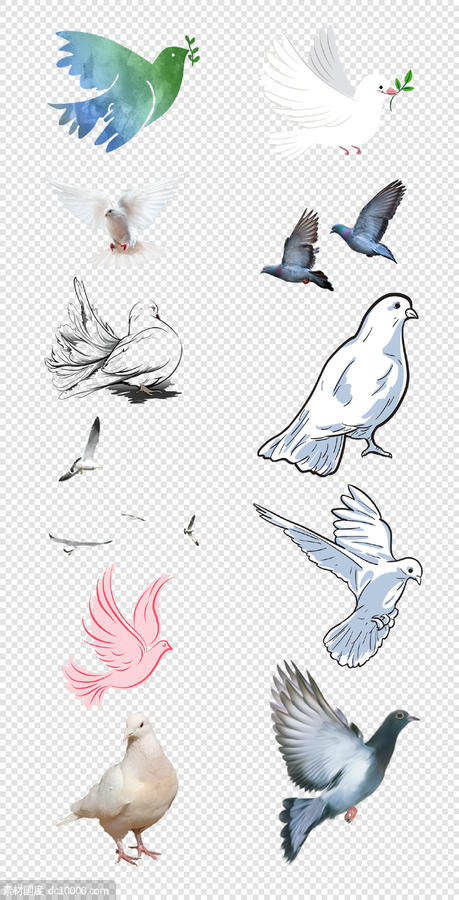 动物  鸽子   水彩    白鸽   鸟类   鸽子元素  信鸽  PNG免扣设计素材 - 源文件
