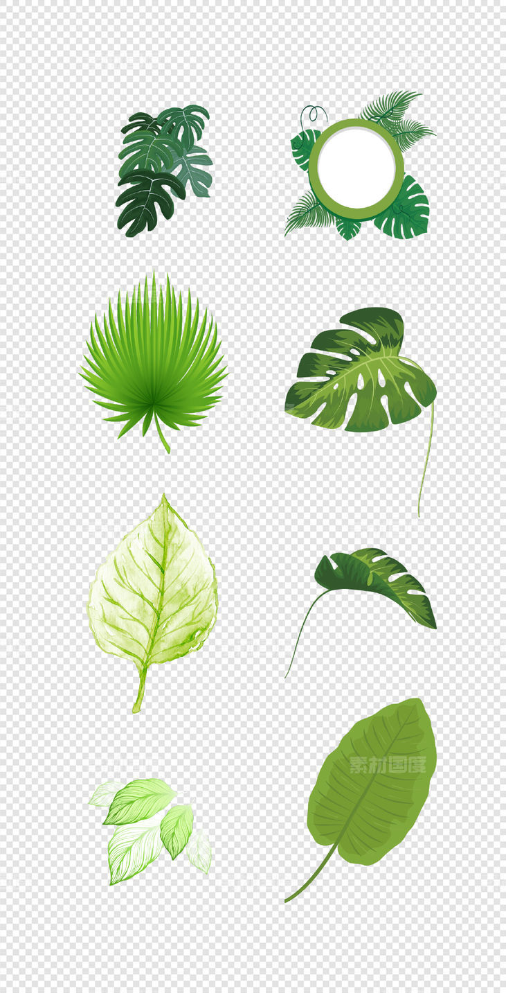 森系  北欧  热带  雨林  手绘   树叶  绿植  插画  PNG免扣设计素材