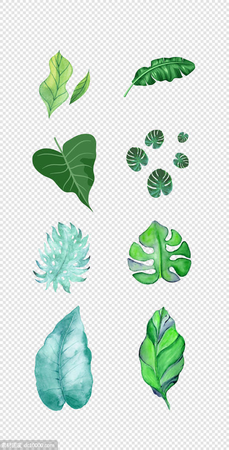 森系  北欧  热带  雨林  手绘   树叶  绿植  插画  PNG免扣设计素材 - 源文件