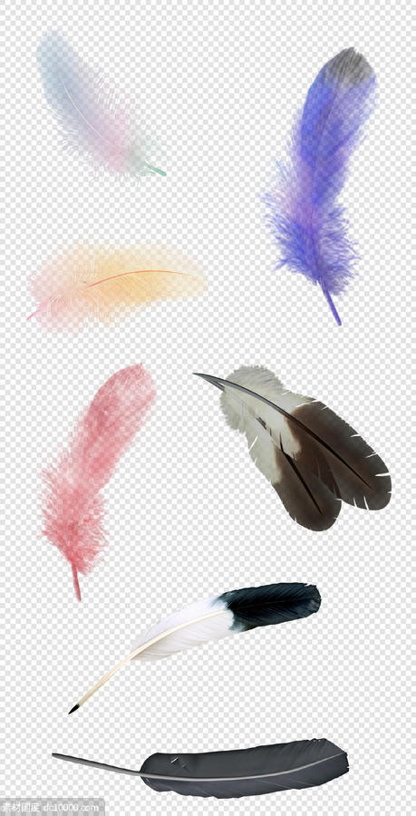 羽毛  飞舞    鸟类羽毛    手绘  彩色     简约   PNG免扣设计素材 - 源文件