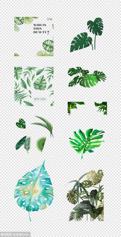 森系  北欧  热带雨林  手绘  水彩  树叶  插画   PNG免扣设计素材 - 源文件