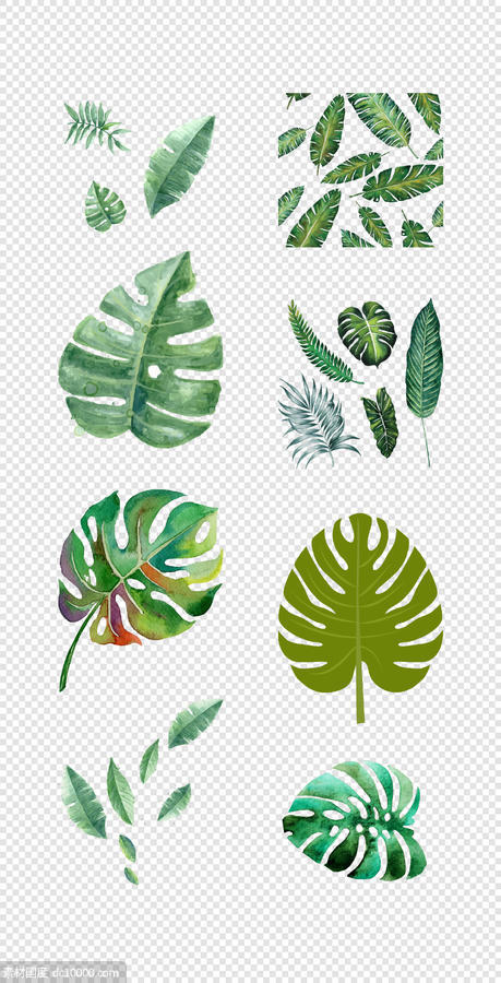 森系  北欧  热带雨林  手绘  水彩  树叶  插画   PNG免扣设计素材 - 源文件