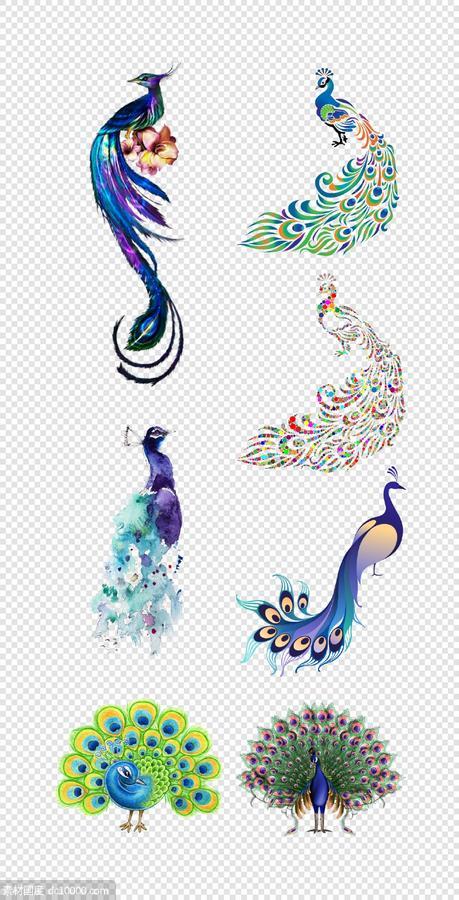 孔雀   蓝色  鸟类  鲜花  漂亮的  孔雀开屏    PNG免扣设计素材 - 源文件