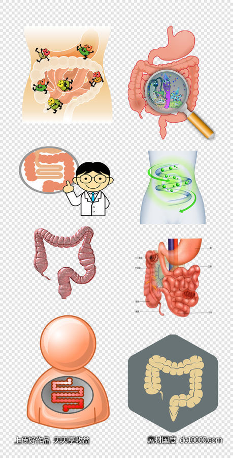 肠道   消化   组织  器官  病菌  医生  PNG免扣设计素材-源文件-素材国度dc10000.com
