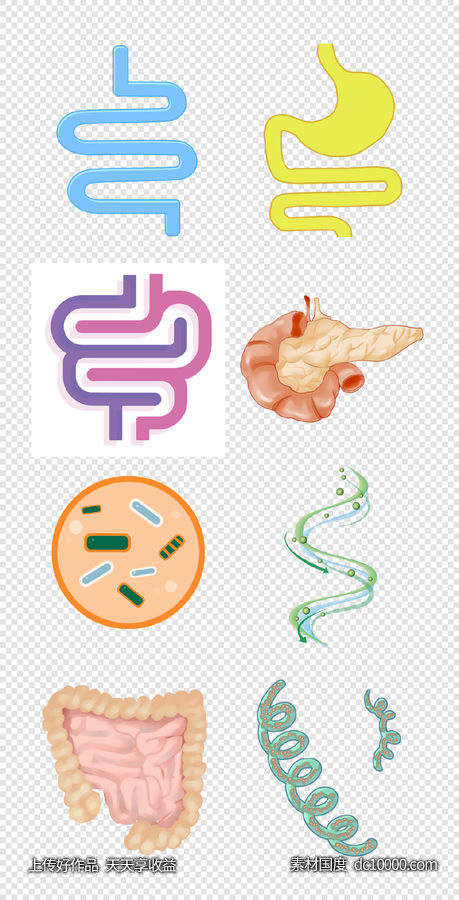 肠道   消化   组织  器官  病菌  医生  PNG免扣设计素材-源文件-素材国度dc10000.com