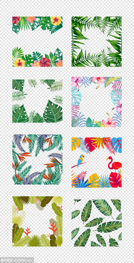 植物  热带雨林  花鸟边框   鲜花树叶  PNG免扣设计素材 - 源文件