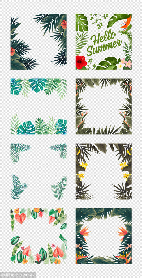 植物  热带雨林  花鸟边框   鲜花树叶  PNG免扣设计素材 - 源文件