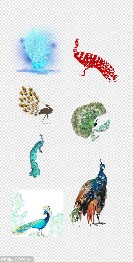 孔雀   蓝色   鸟类  鲜花  漂亮的  孔雀开屏    PNG免扣设计素材 - 源文件