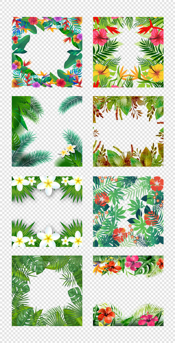 植物  热带雨林  花鸟边框   鲜花树叶  PNG免扣设计素材
