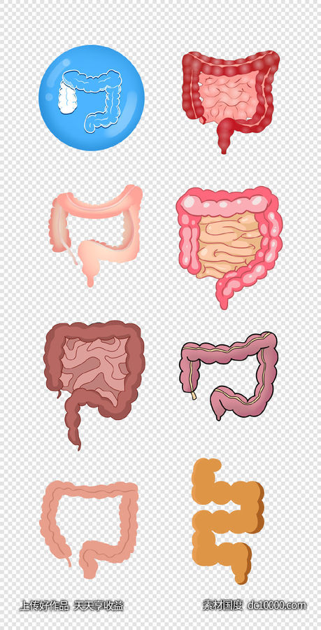 肠道   消化   组织  器官  病菌   医生  PNG免扣设计素材-源文件-素材国度dc10000.com