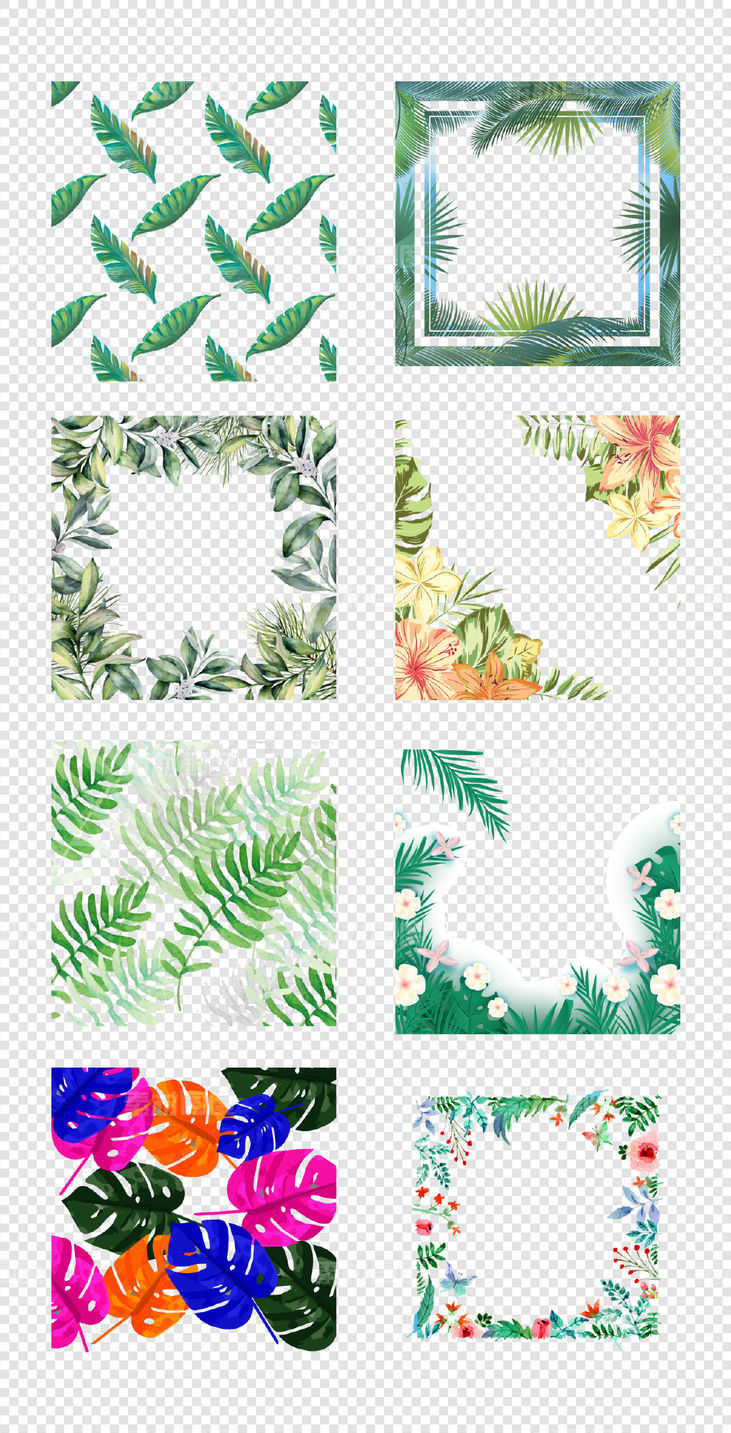 植物  热带雨林  花鸟边框   鲜花树叶  PNG免扣设计素材
