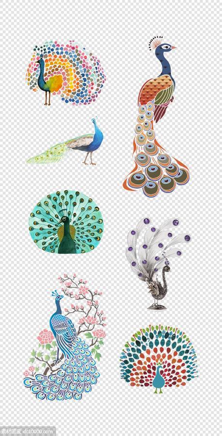 孔雀   蓝色  鸟类  鲜花  漂亮的  孔雀开屏    PNG免扣设计素材 - 源文件