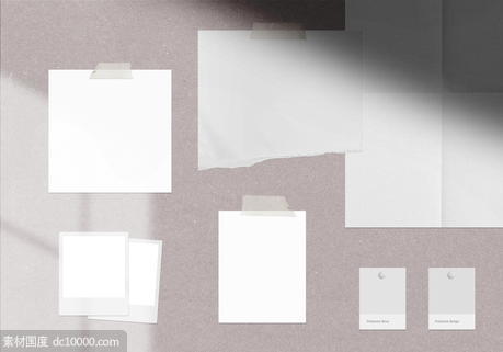 北欧简约创意树叶投影画框相册墙面展示PSD素材 - 源文件