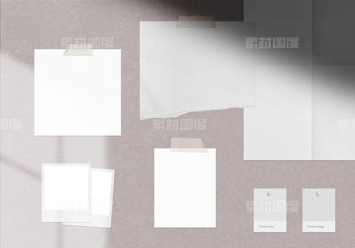北欧简约创意树叶投影画框相册墙面展示PSD素材