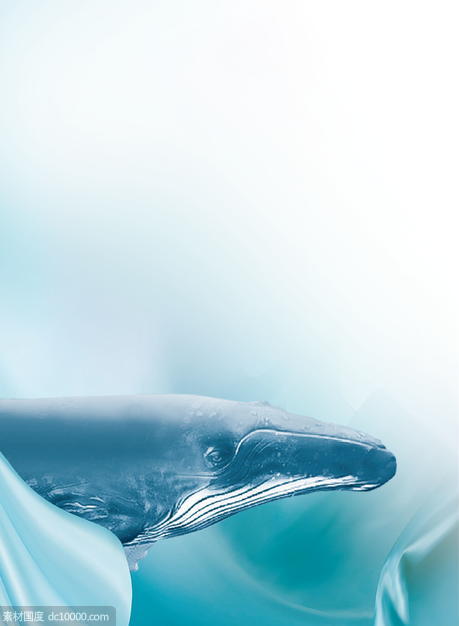 蓝色鲸鱼背景 - 源文件