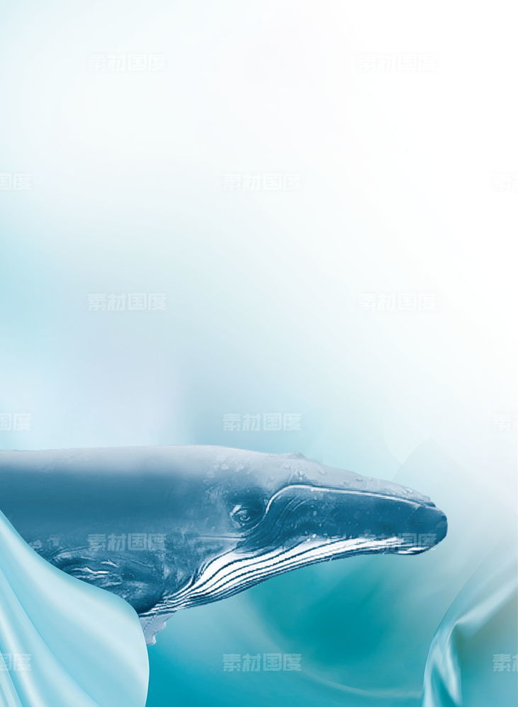 蓝色鲸鱼背景