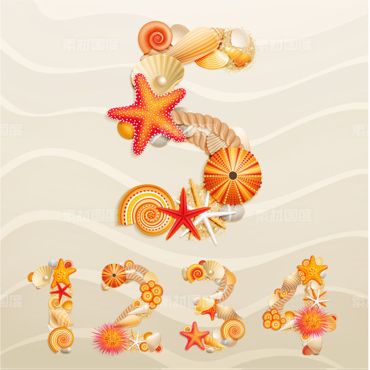 海螺贝壳海星.