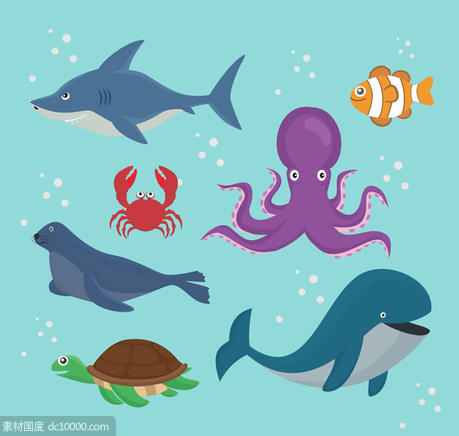 鲨鱼 小丑鱼 螃蟹 章鱼 海象 鲸鱼 海龟 海洋动物 矢量图 - 源文件