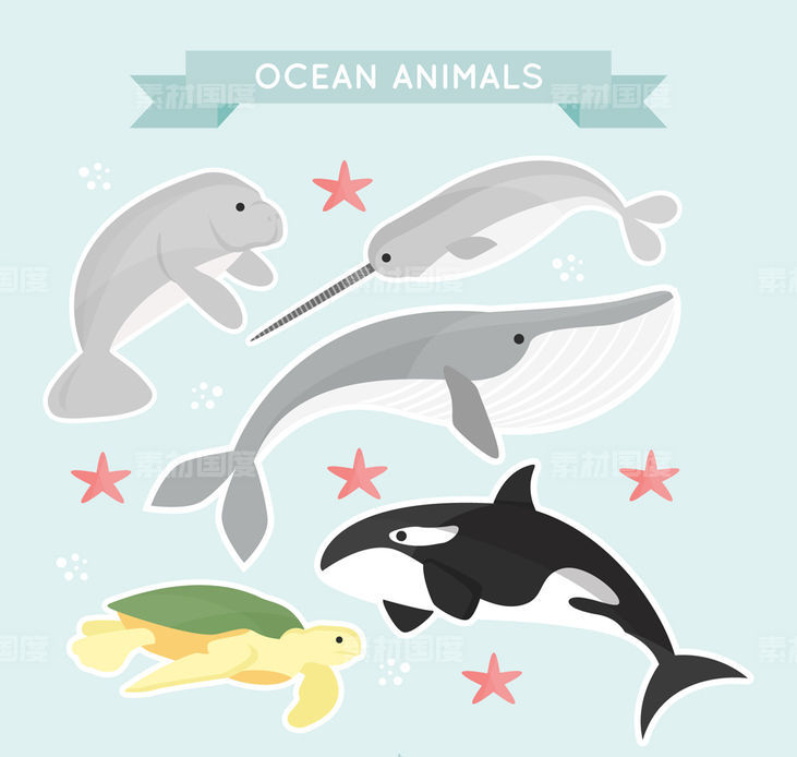 海象 鲸鱼 海龟 鲨鱼 儒艮 抹香鲸 剑鱼 海洋动物 大海 矢量图