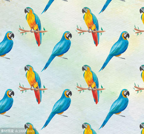 树枝 鸟 美洲 彩绘 蓝喉金刚鹦鹉 无缝背景 矢量图 - 源文件