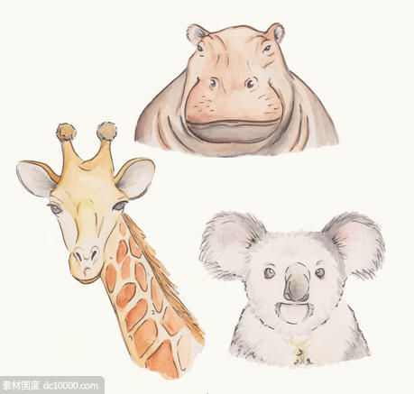 河马 长颈鹿 考拉熊 彩绘 野生动物 头像 动物 矢量图 - 源文件