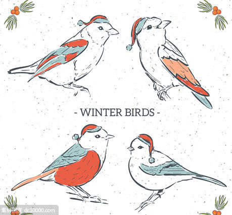 浆果 彩绘 冬季鸟 圣诞节 矢量图 - 源文件