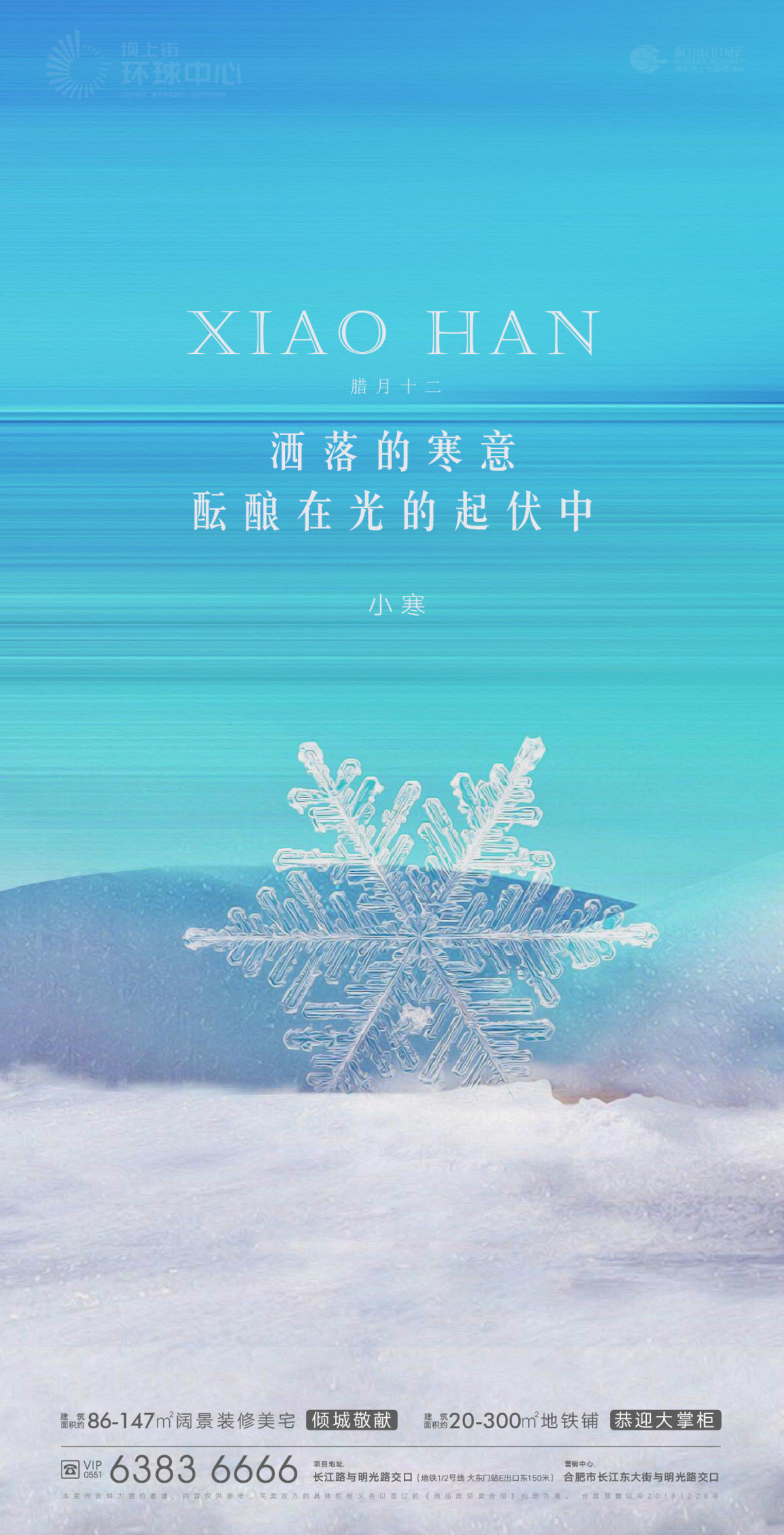 地产小寒节气海报