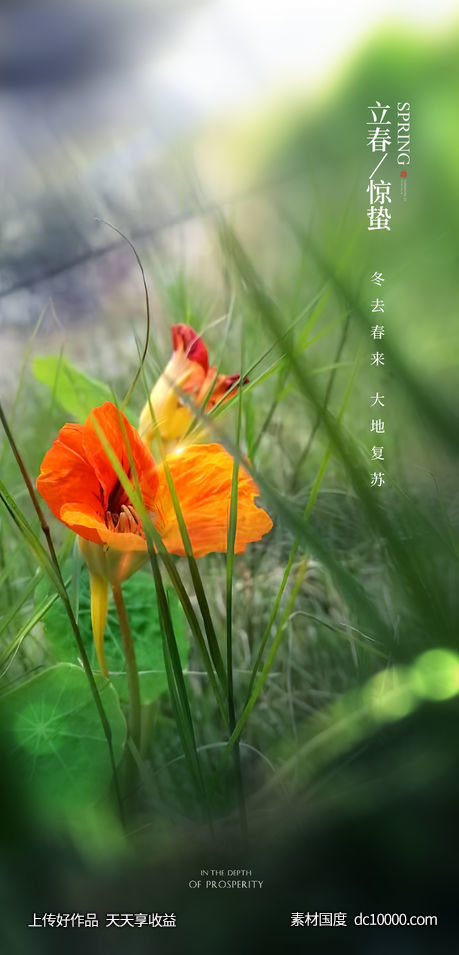 节气海报-源文件-素材国度dc10000.com