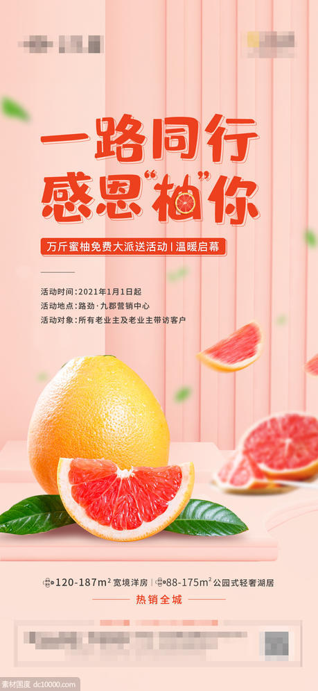 活动 地产 柚子 - 源文件