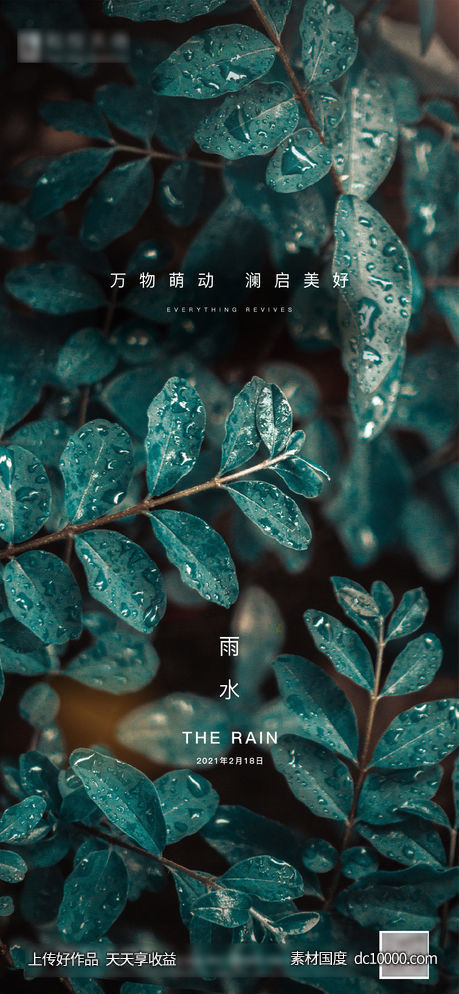 简约房地产雨水节气海报 - 源文件