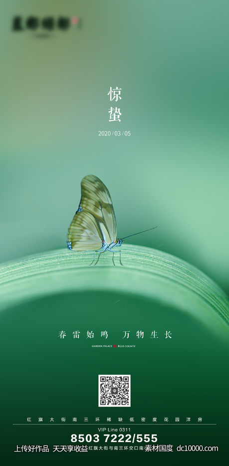 惊蛰海报-源文件-素材国度dc10000.com