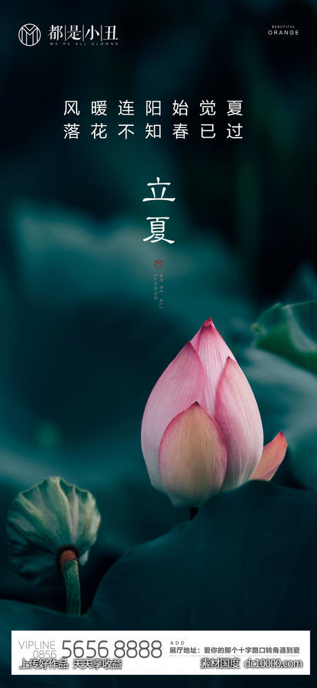 地产立夏闪片-源文件-素材国度dc10000.com