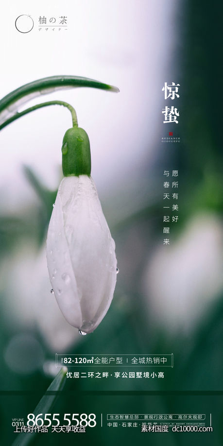 惊蛰海报-源文件-素材国度dc10000.com