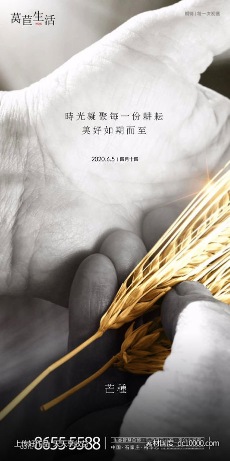 地产芒种节气海报-源文件-素材国度dc10000.com
