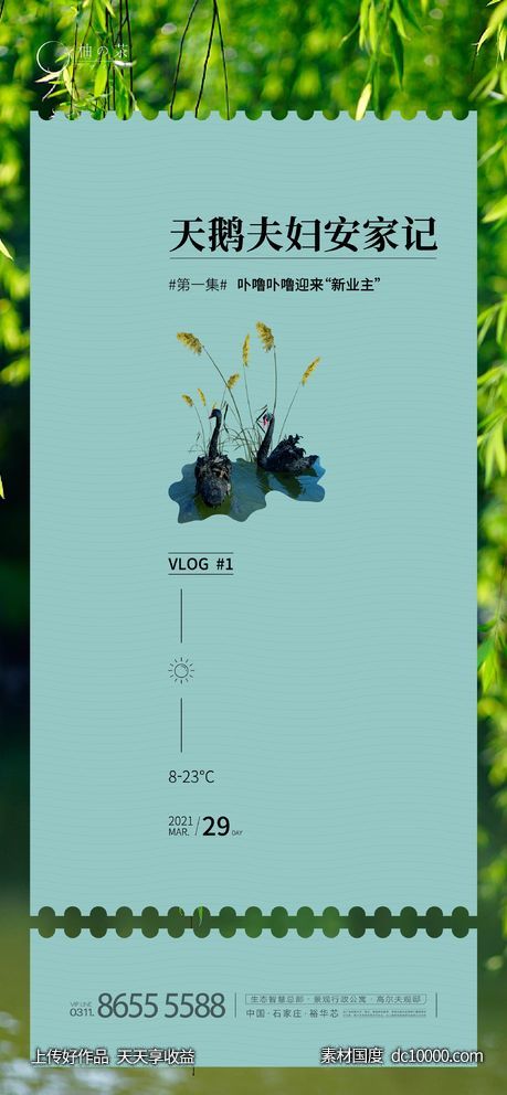 天鹅海报-源文件-素材国度dc10000.com