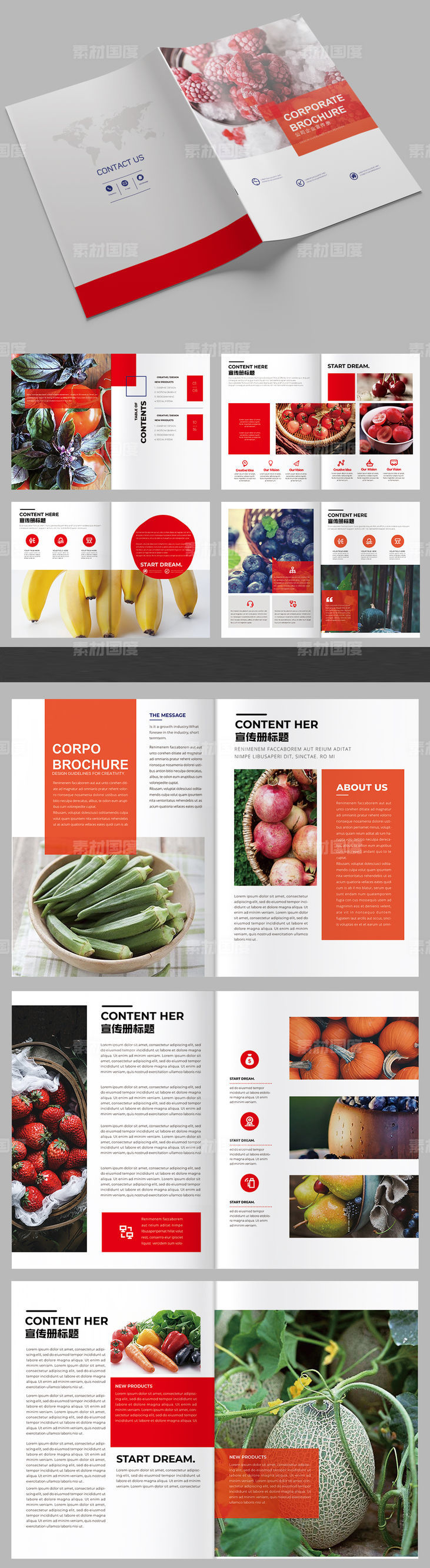 水果蔬菜农业画册设计效果图
