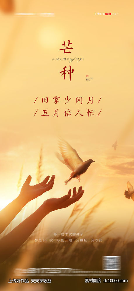 小满节气海报-源文件-素材国度dc10000.com