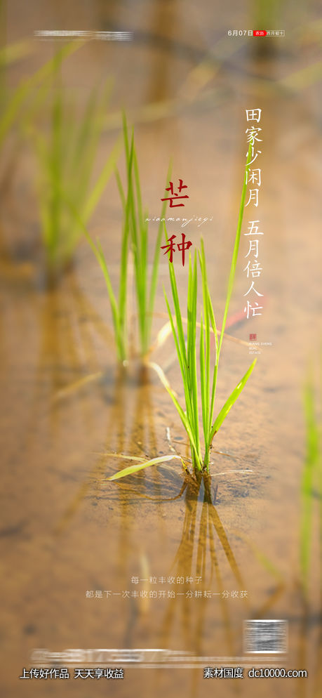 小满节气海报-源文件-素材国度dc10000.com