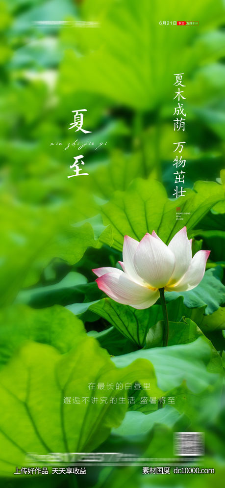 夏至节气海报-源文件-素材国度dc10000.com