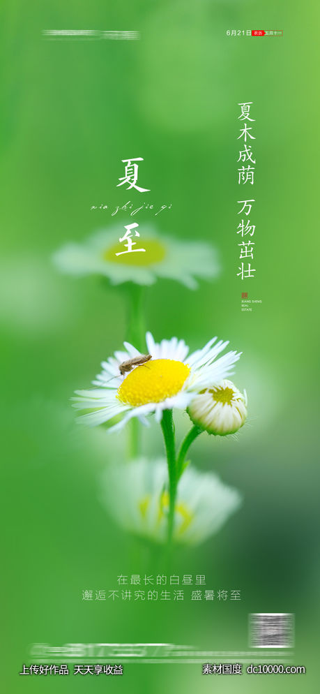 夏至节气海报-源文件-素材国度dc10000.com