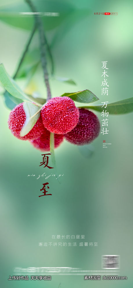 夏至节气海报-源文件-素材国度dc10000.com