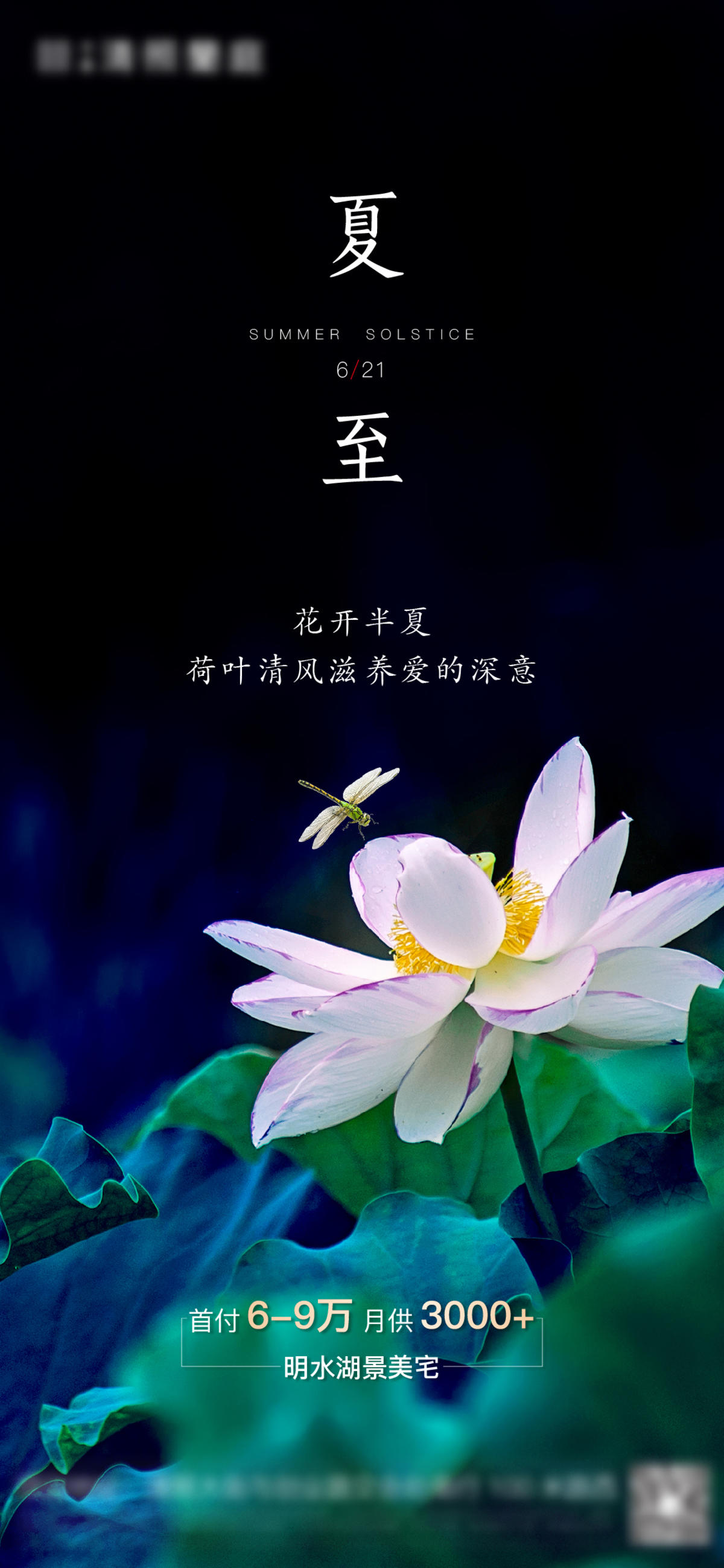 地产夏至节气海报