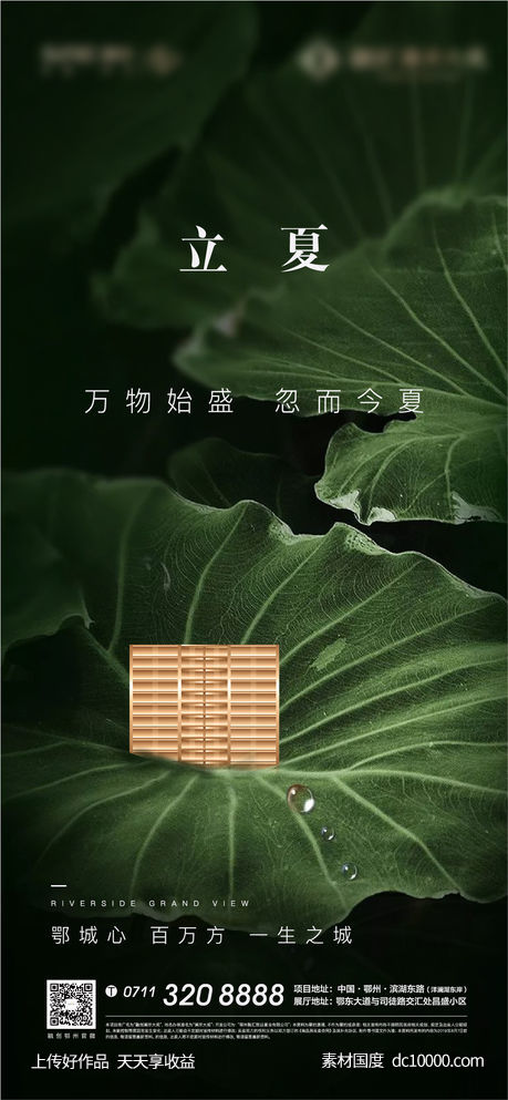 立夏荷花地产黑金荷叶夏天节气-源文件-素材国度dc10000.com