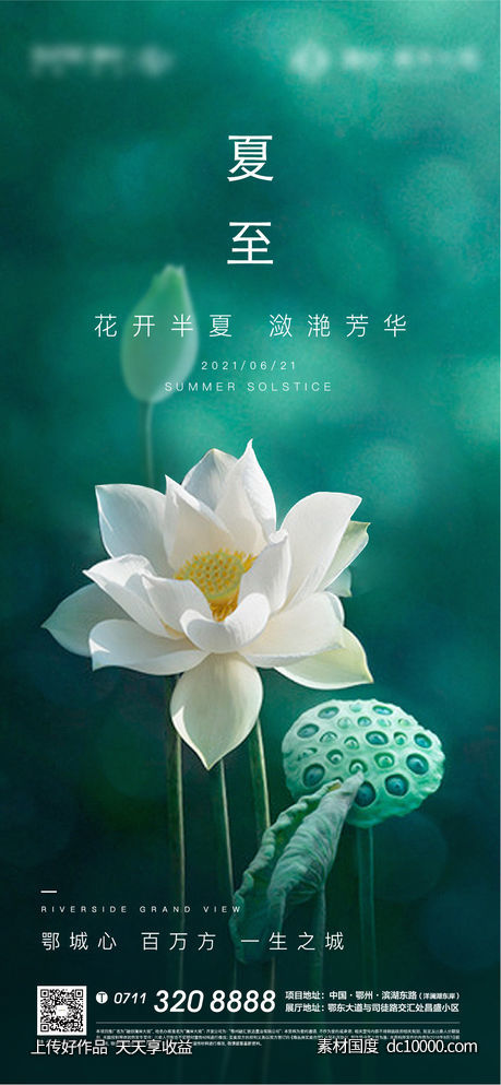 夏至地产荷花立夏初夏节气-源文件-素材国度dc10000.com