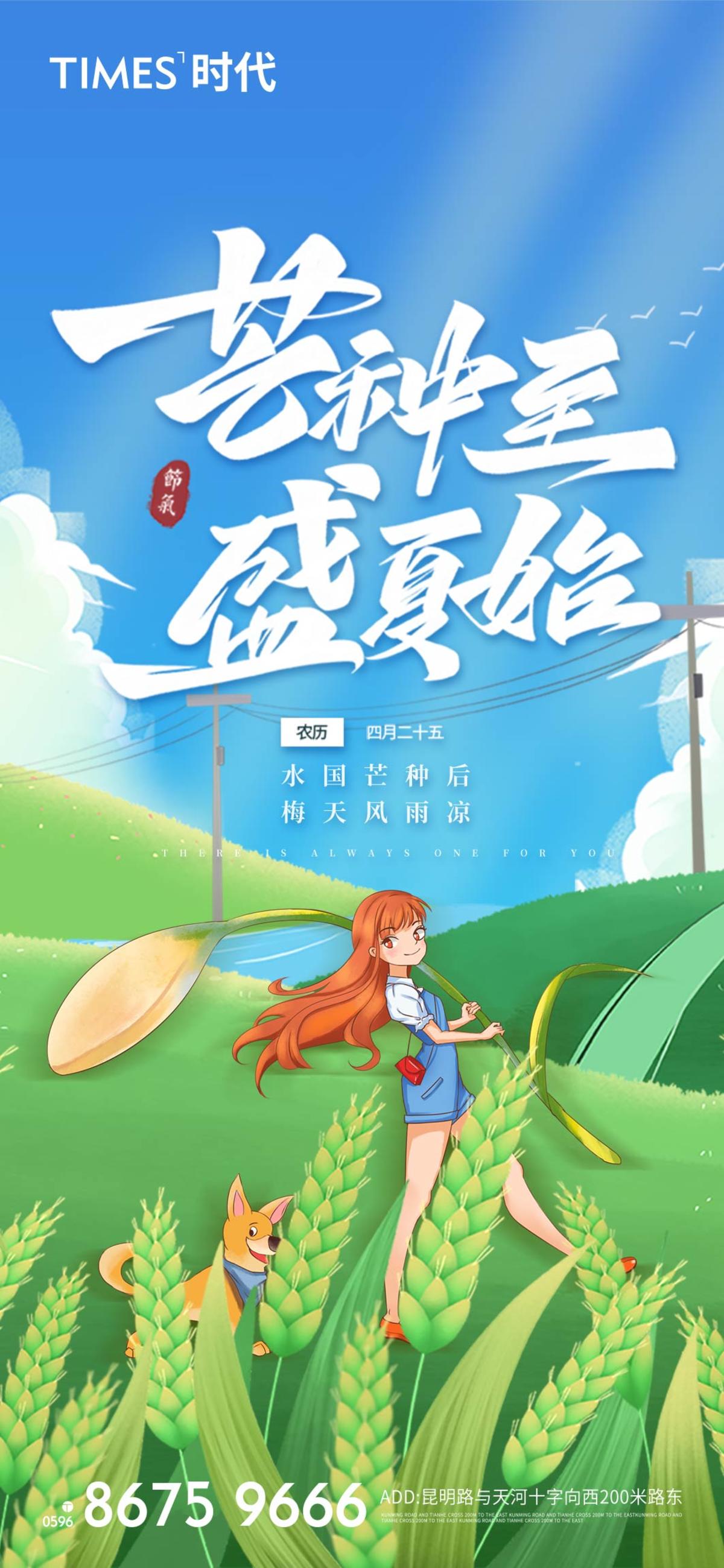 地产 芒种 价值点 海报  