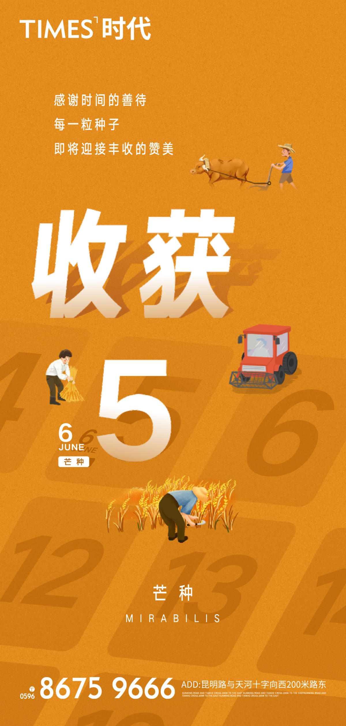 地产 芒种 价值点 海报  