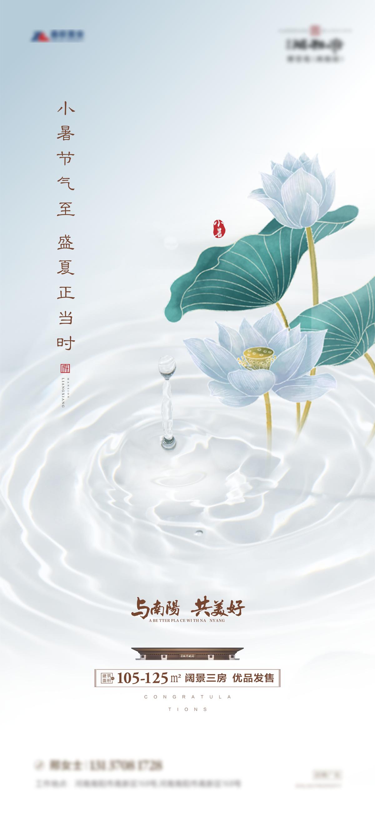唯美质感节气海报