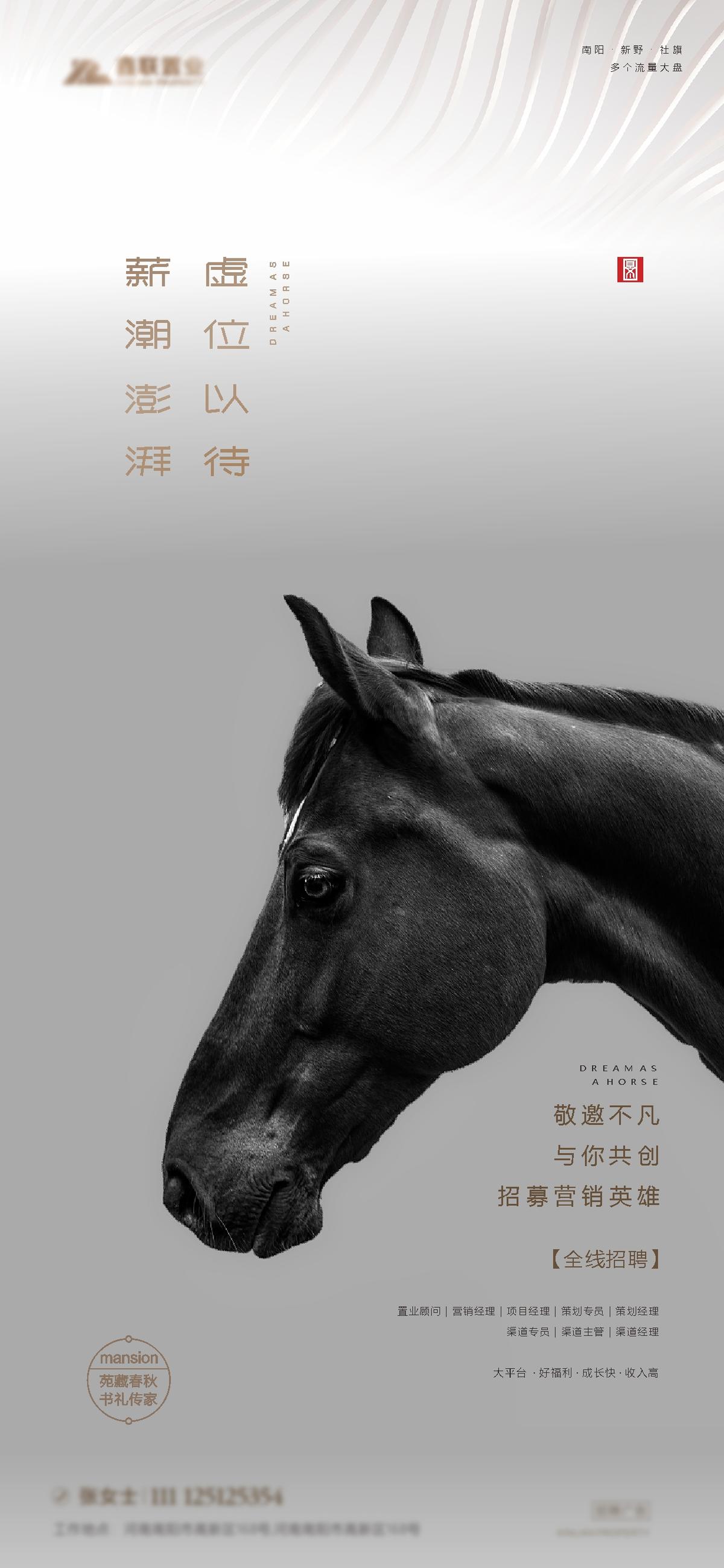 质感黑马招聘