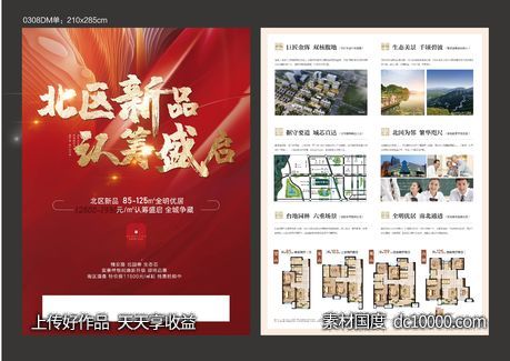 新品认筹单页dm单-源文件-素材国度dc10000.com